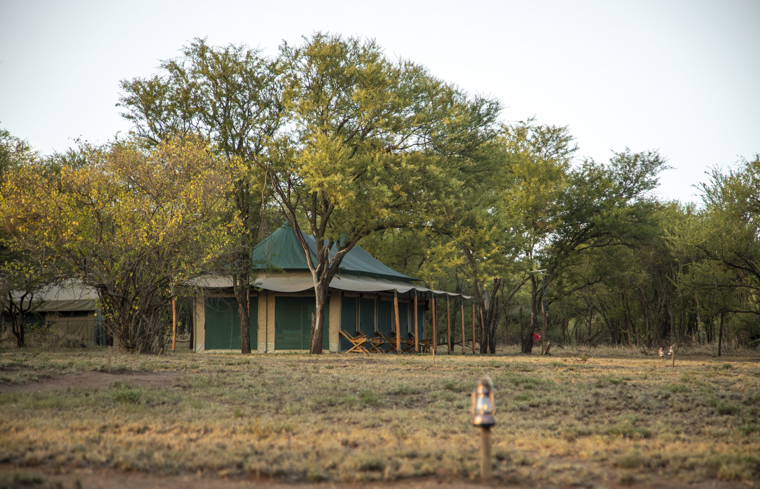 Family Tent | Maboresho Tented Camp Serengeti Tanzania