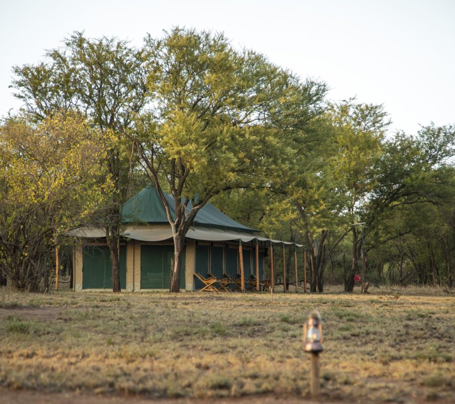 Family Tent | Maboresho Tented Camp Serengeti Tanzania