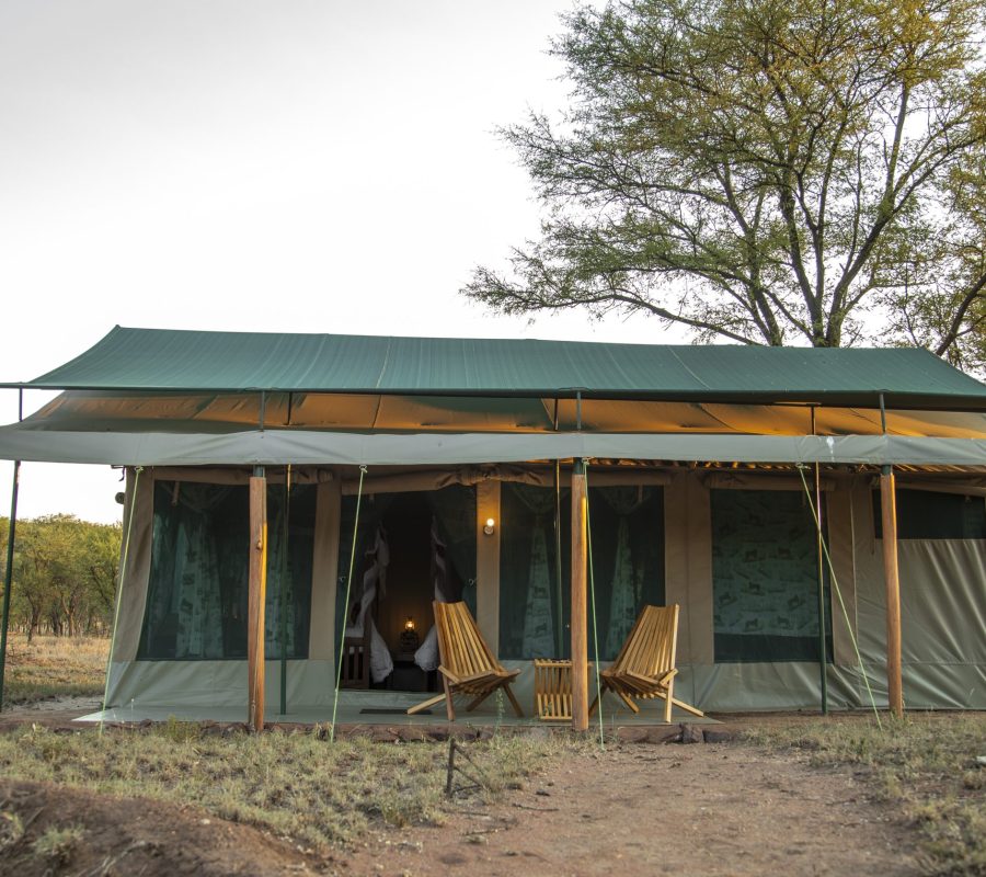 Twin Tent | Maboresho Tented Camp Serengeti Tanzania