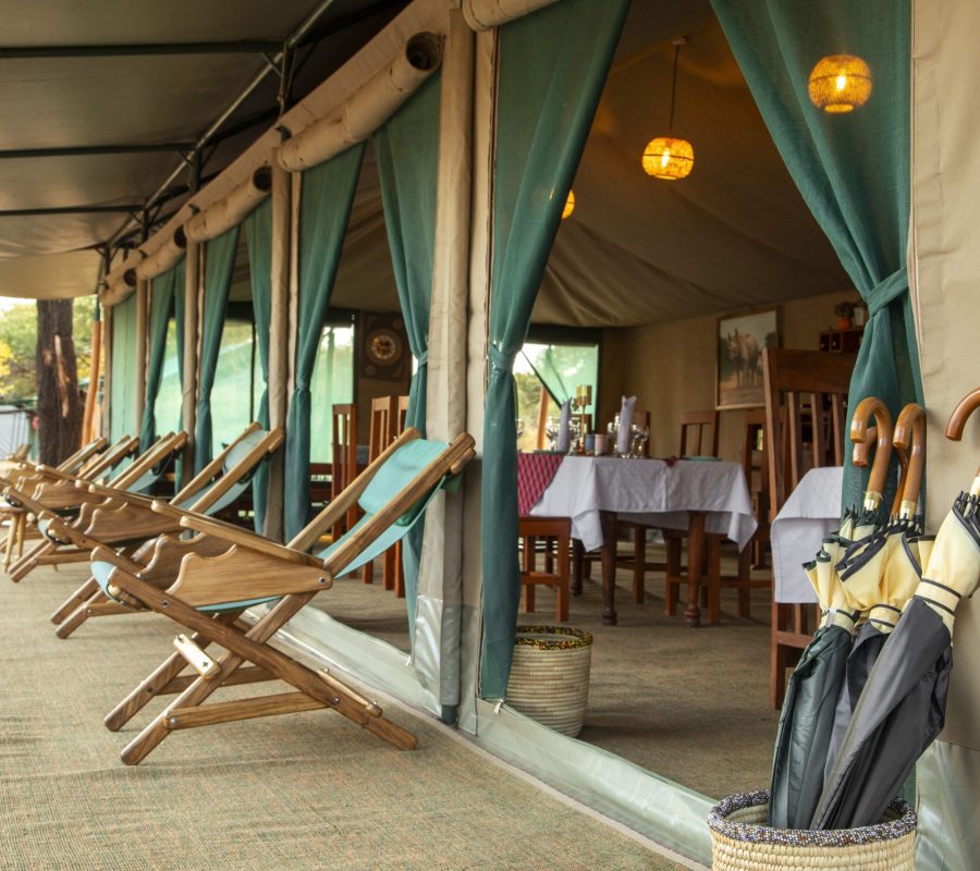 MABORESHO TENTED CAMP SERENGETI