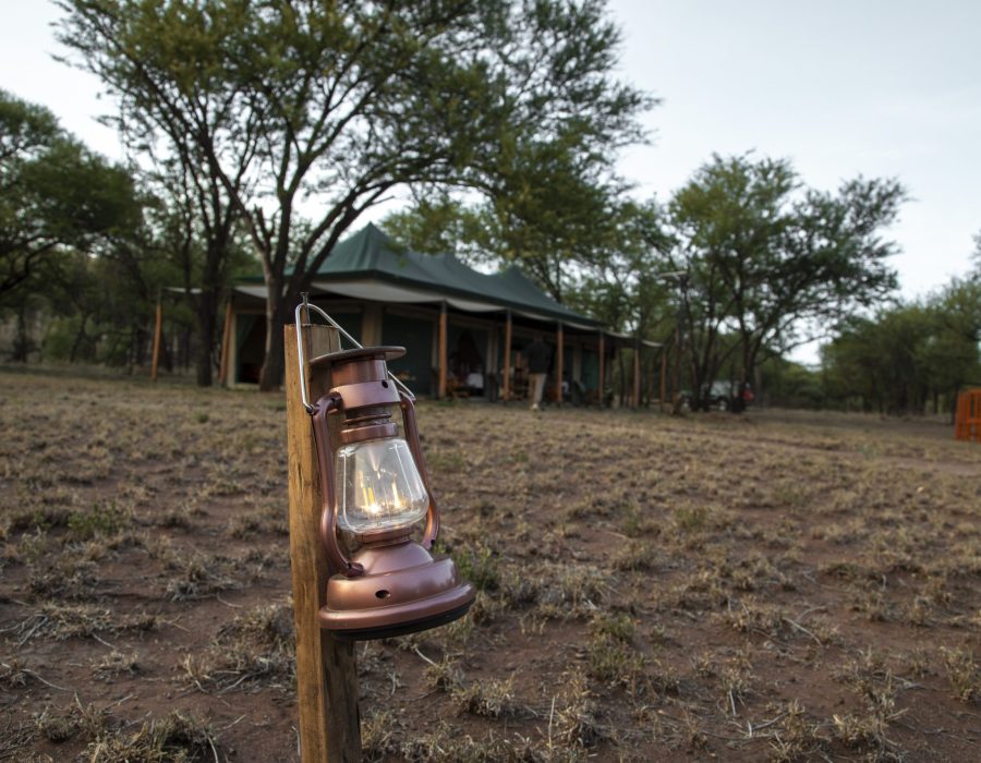 MABORESHO TENTED CAMP SERENGETI