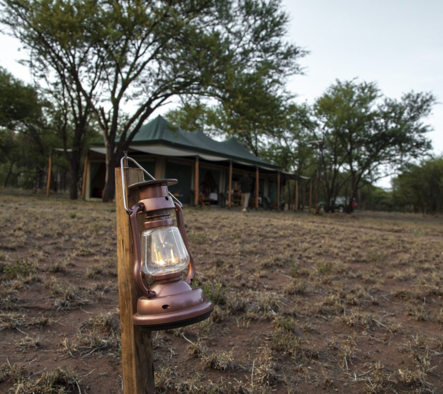 MABORESHO TENTED CAMP SERENGETI
